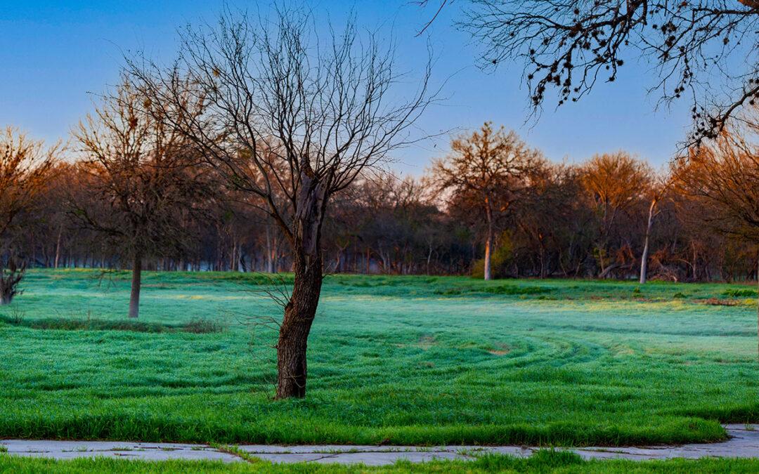 Building Visual Stories with The Arboretum San Antonio