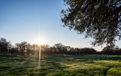 Why I Made “Rooted In Legacy: The Arboretum San Antonio Journey”